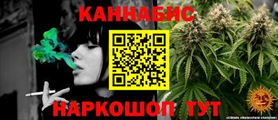 индика Жуковский