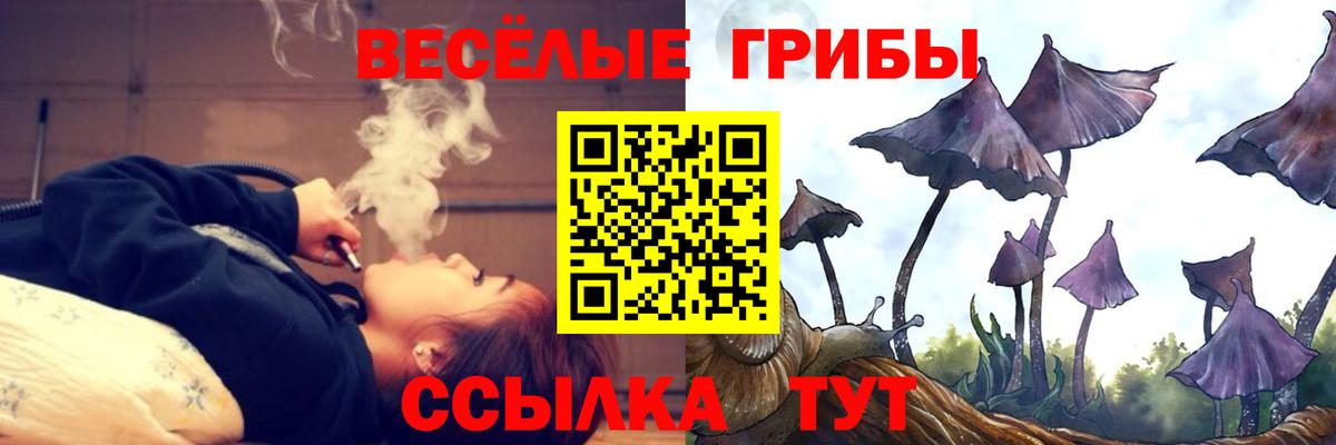 Галлюциногенные грибы прущие грибы  Вход с VPN  Псилоцибиновые грибы Magic Shrooms  даркнет сайт  Балашов 